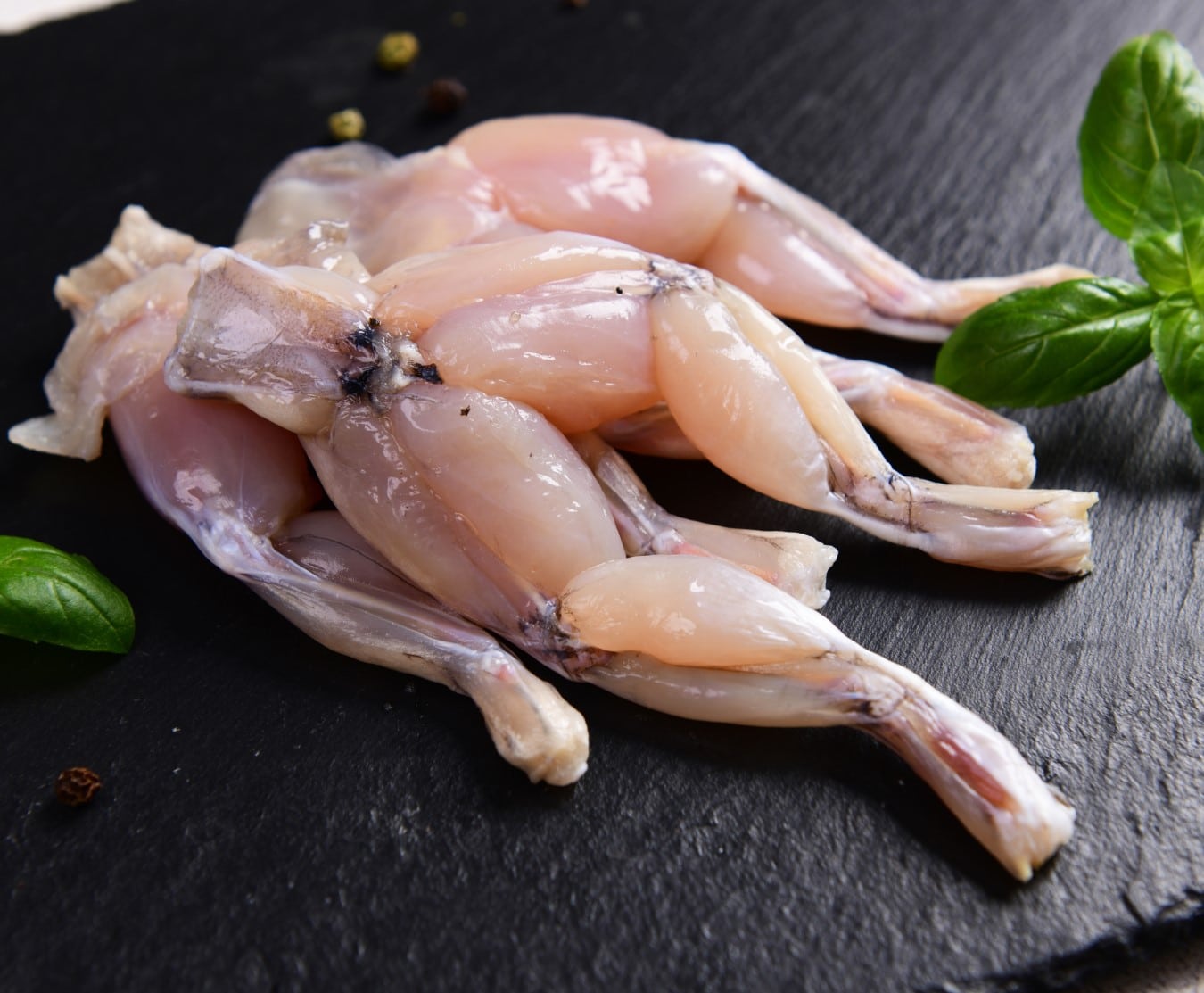 Buy Frogs Legs 800g net weight Online at the Best Price, Free UK Delivery -  Bradley's Fish