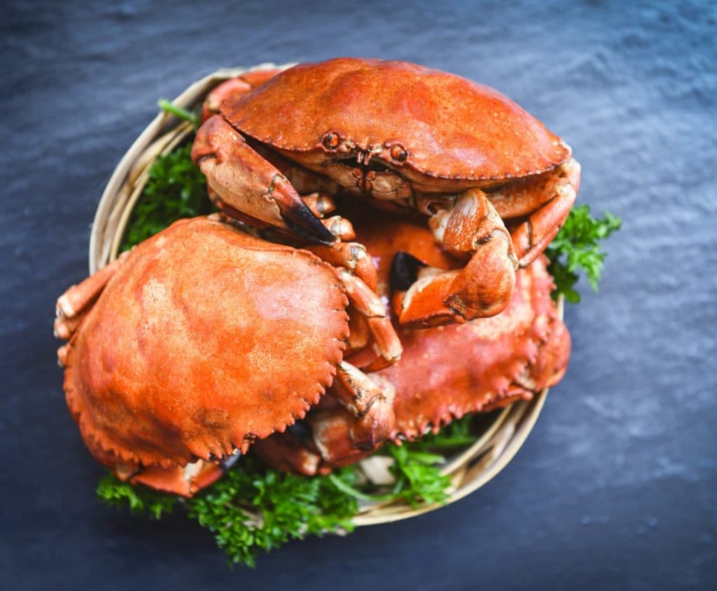 Buy Crab 5 kg bulk Online at the Best Price, Free UK Delivery - Bradley
