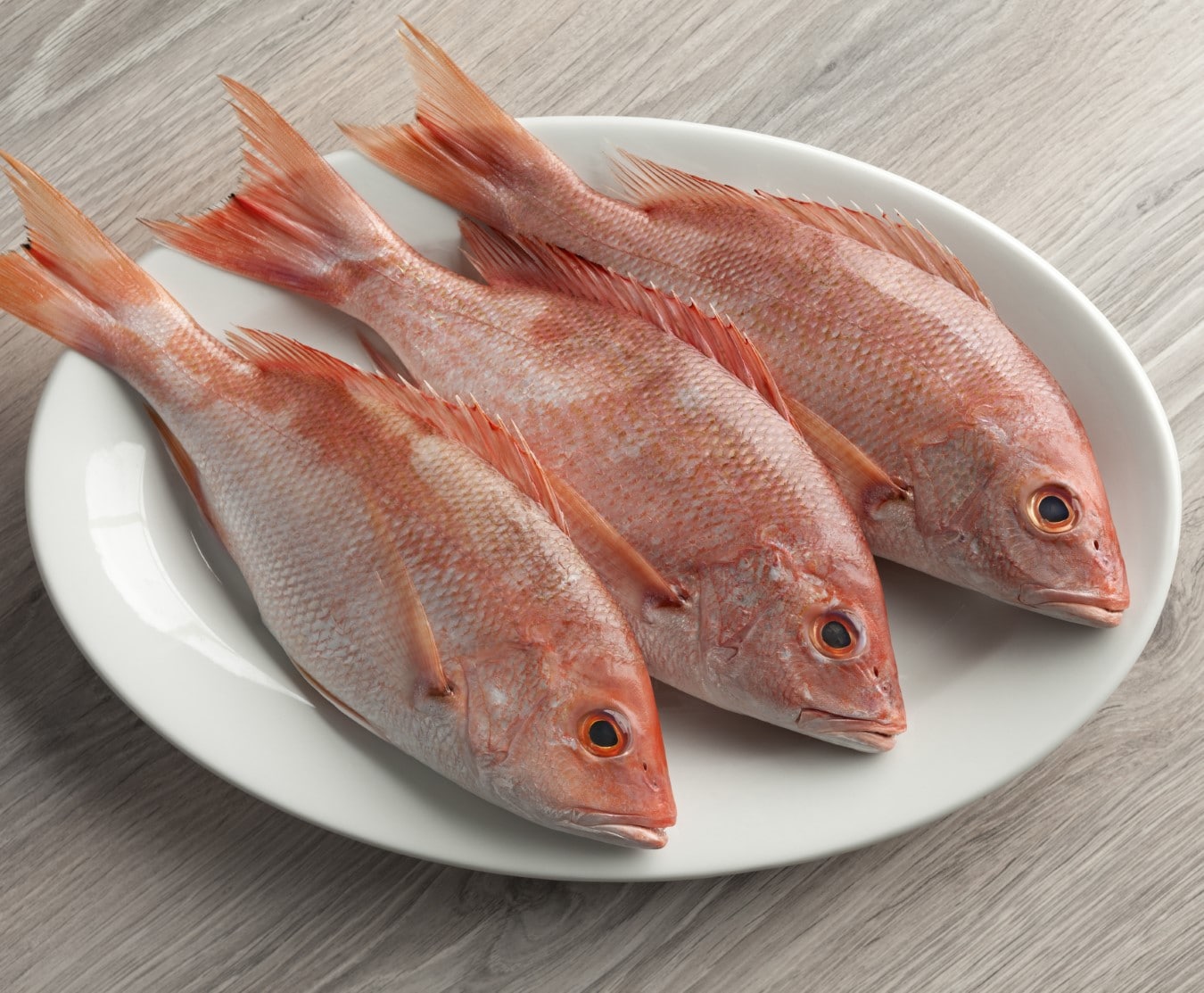 Buy Red Snapper 1kg Online at the Best Price Free UK Delivery