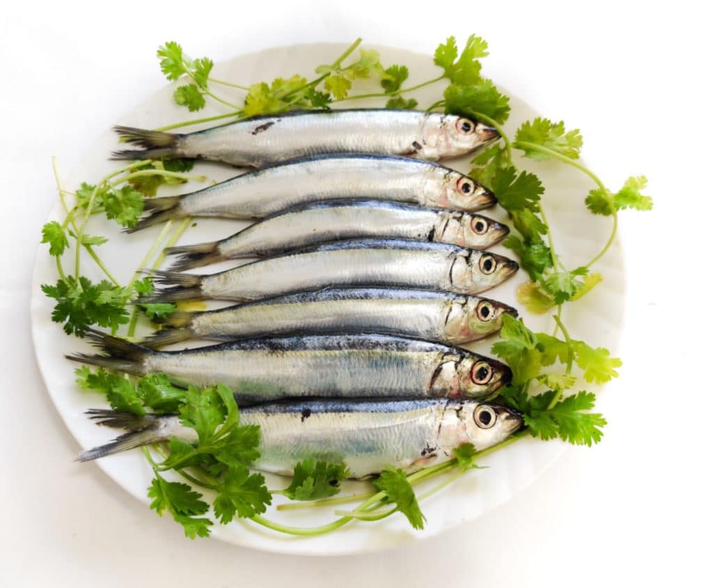 Buy Whole Sardines Online 1kg Bag Bradley s Fish