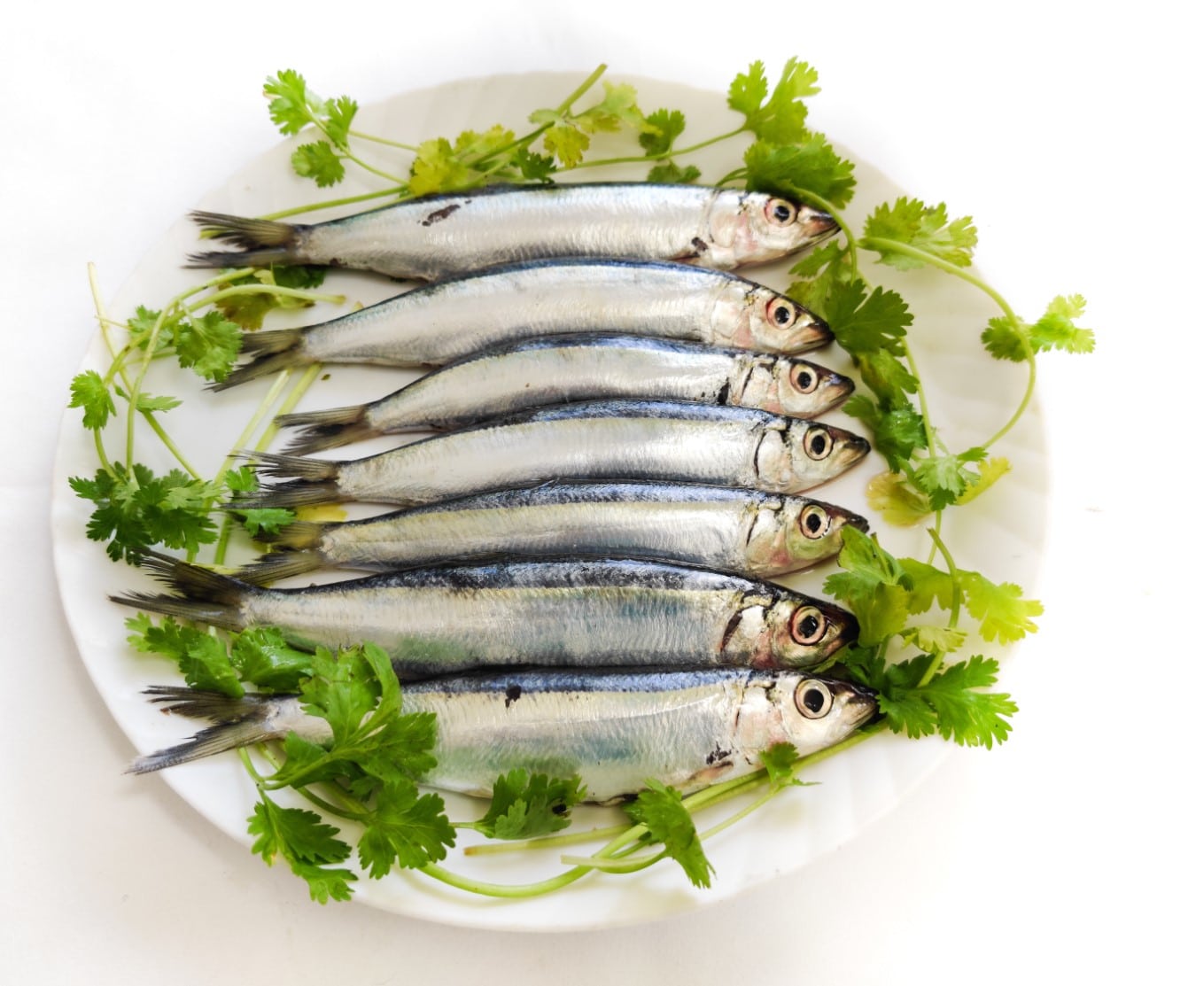 Buy Whole Sardines Online 1kg Bag Bradley s Fish