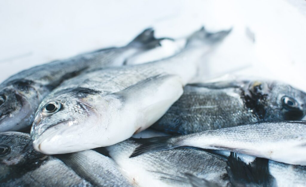 fresh vs. frozen fish - what's the difference?