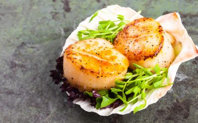 Coquilles Saint Jacques Recipes