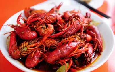 Spanish Crayfish in Tomato Sauce